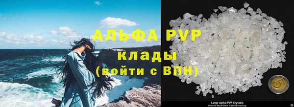 PSILOCYBIN Богородск