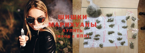 молекула духа Богданович