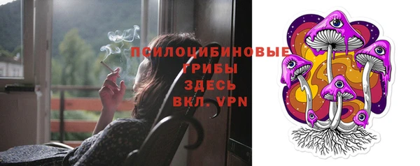 молекула духа Богданович