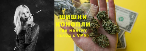 молекула духа Богданович