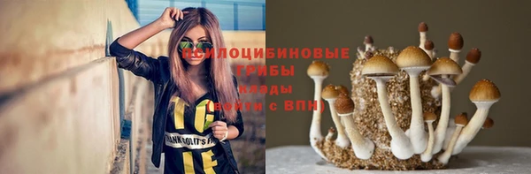 ГАЛЛЮЦИНОГЕННЫЕ ГРИБЫ Богородицк