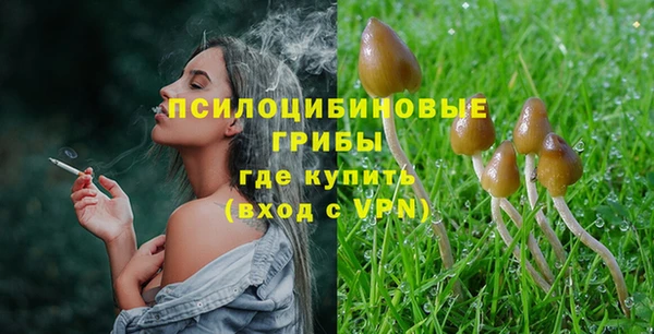 PSILOCYBIN Богородск