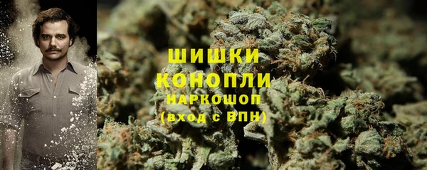 PSILOCYBIN Богородск