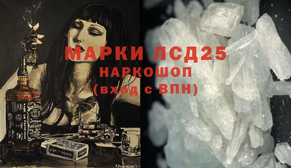 молекула духа Богданович