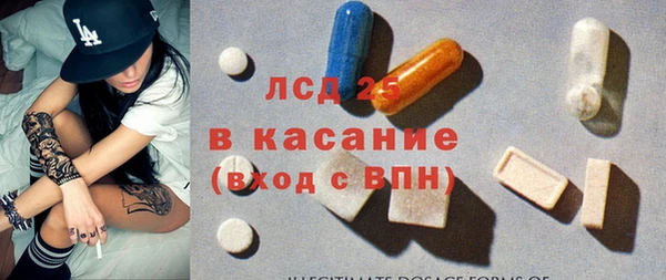 молекула духа Богданович