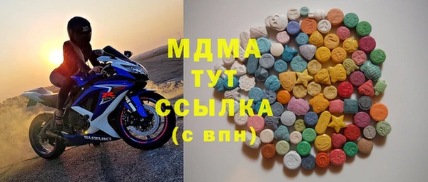 молекула духа Богданович