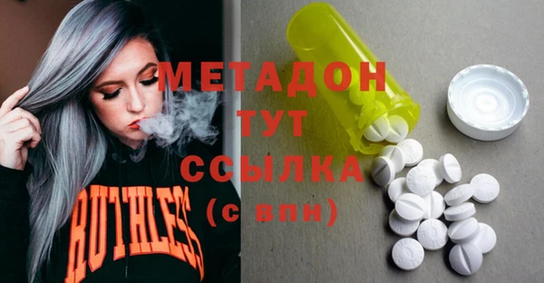 молекула духа Богданович
