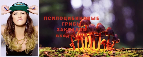 молекула духа Богданович