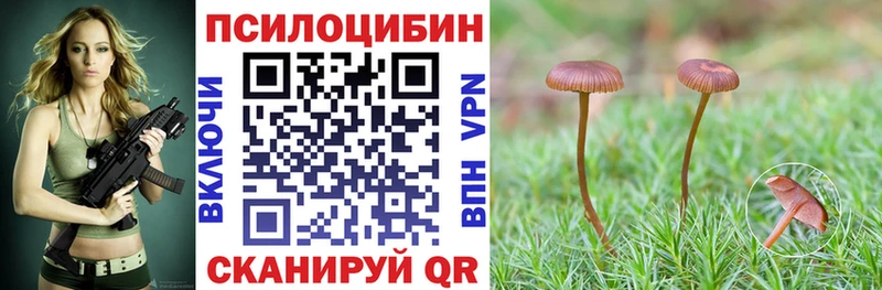 Псилоцибиновые грибы GOLDEN TEACHER  Чкаловск 